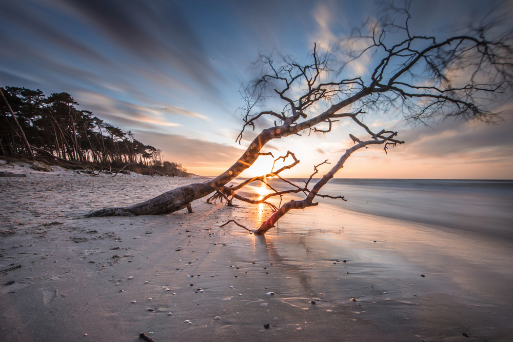 winterlicher Ostseestrand