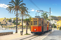 Blühendes Mallorca für Alleinreisende / mix