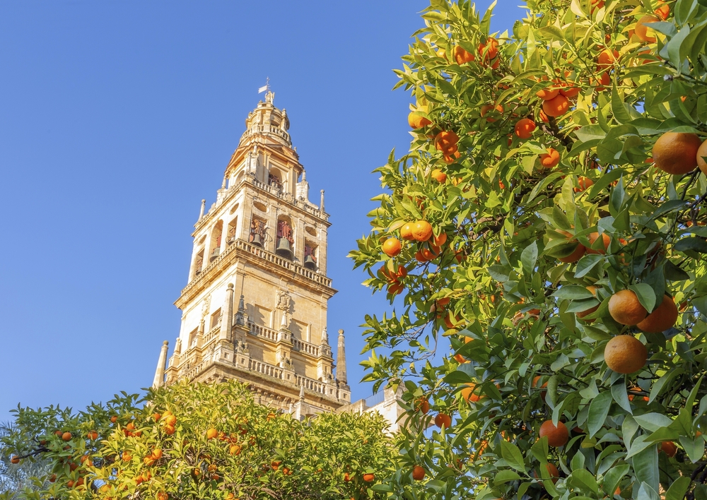 Giralda in Sevilla hinter blühenden Orangenbäumen vor blauem Himmel